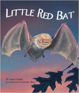Little Red Bat